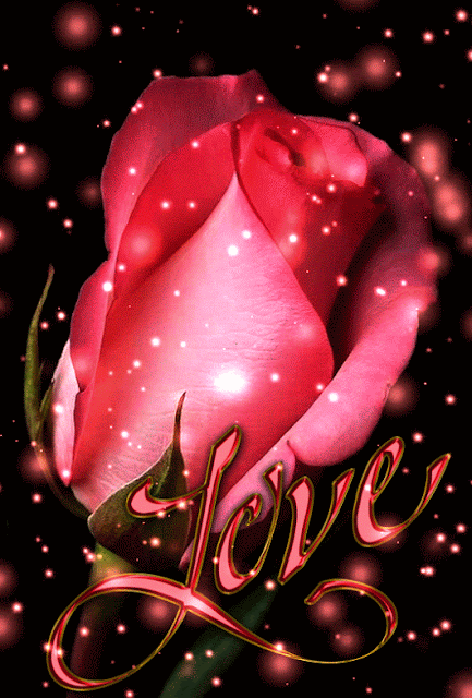 Love.gif