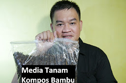 Media Tanam Kompos Bambu Porous dan Subur