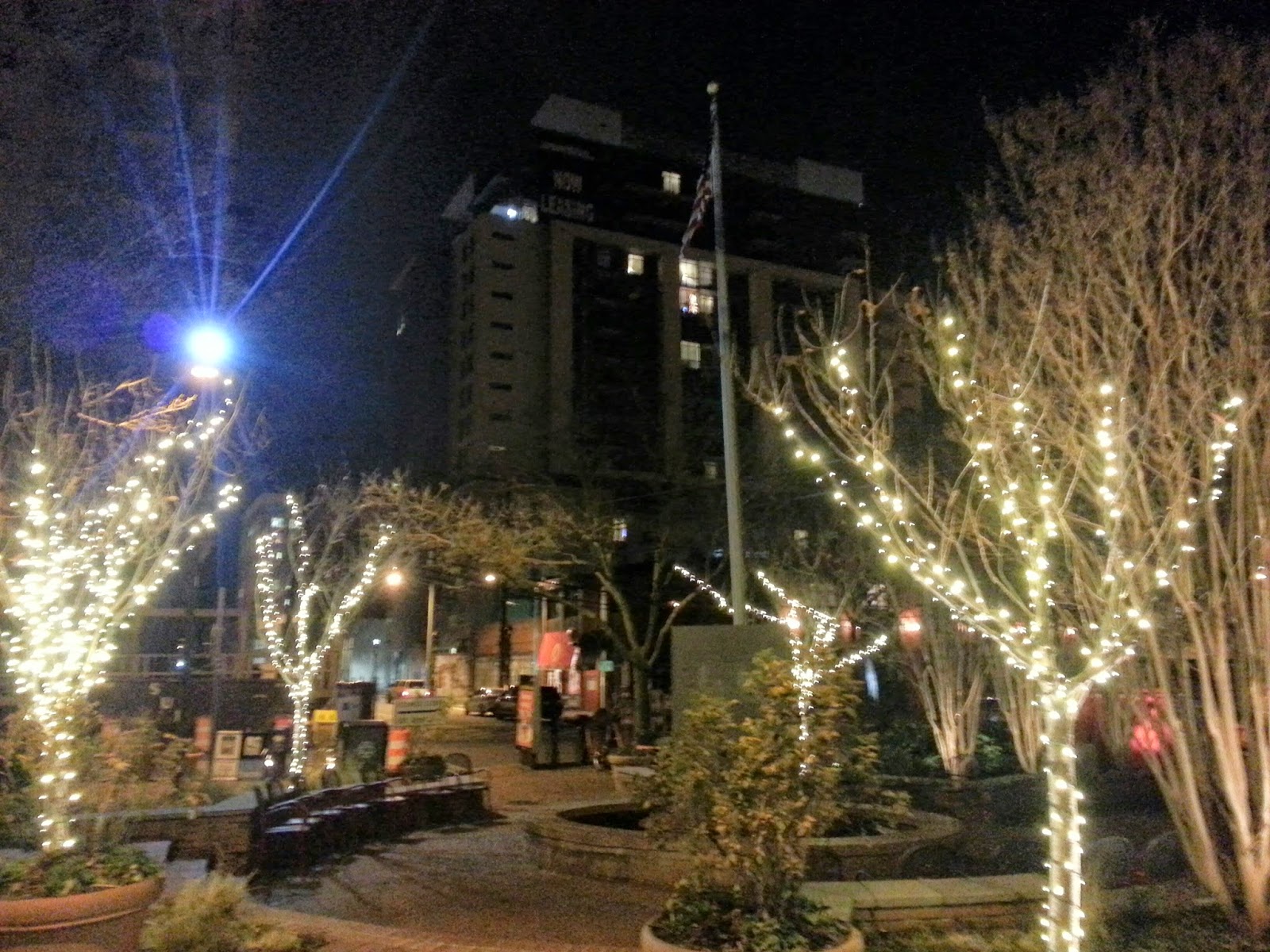 Robert Dyer Bethesda Row HOLIDAY LIGHTS IN VETERANS PARK (PHOTOS)