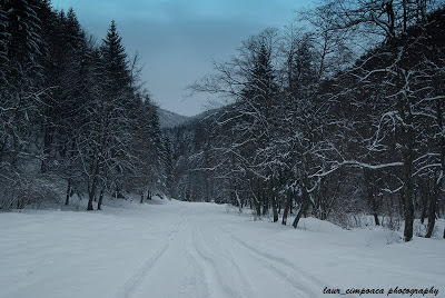 Iarna Winter Inverno Invierno Bran