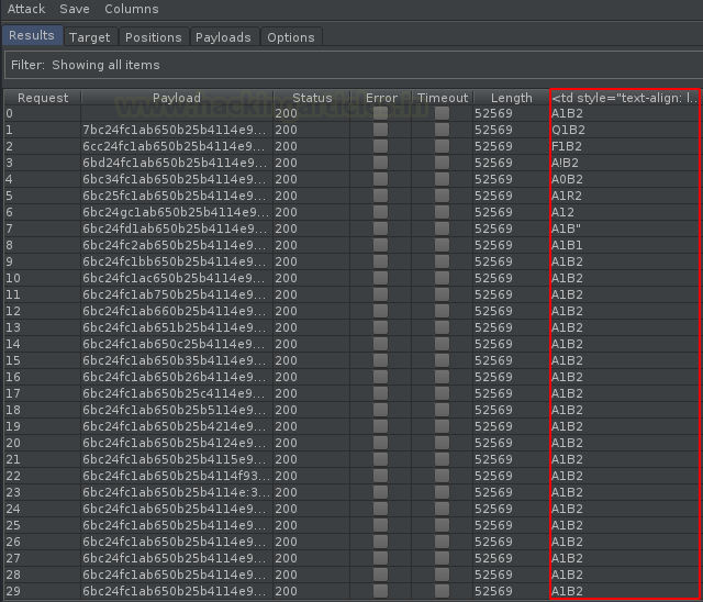 Burp Suite Fuzzing with Intruder