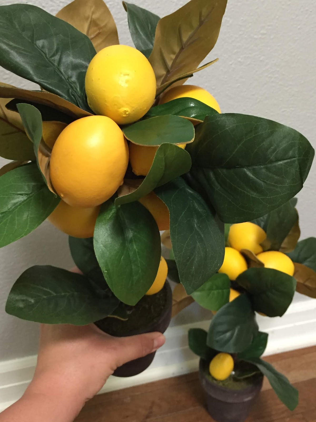 PolkaDotty Place DIY Lemon Topiaries