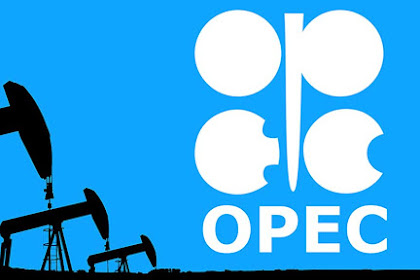 How many countries are currently in OPEC?