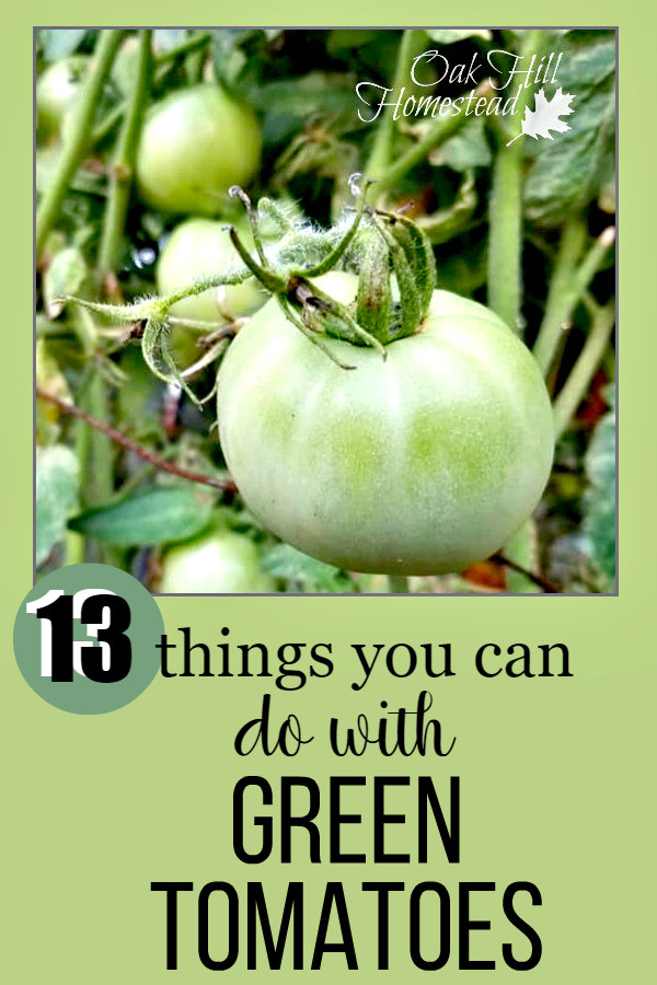 What to Do with Green Tomatoes in the Fall Oak Hill Homestead