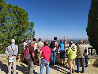 Día del Medio Ambiente 2019 Día del Medio Ambiente 2019