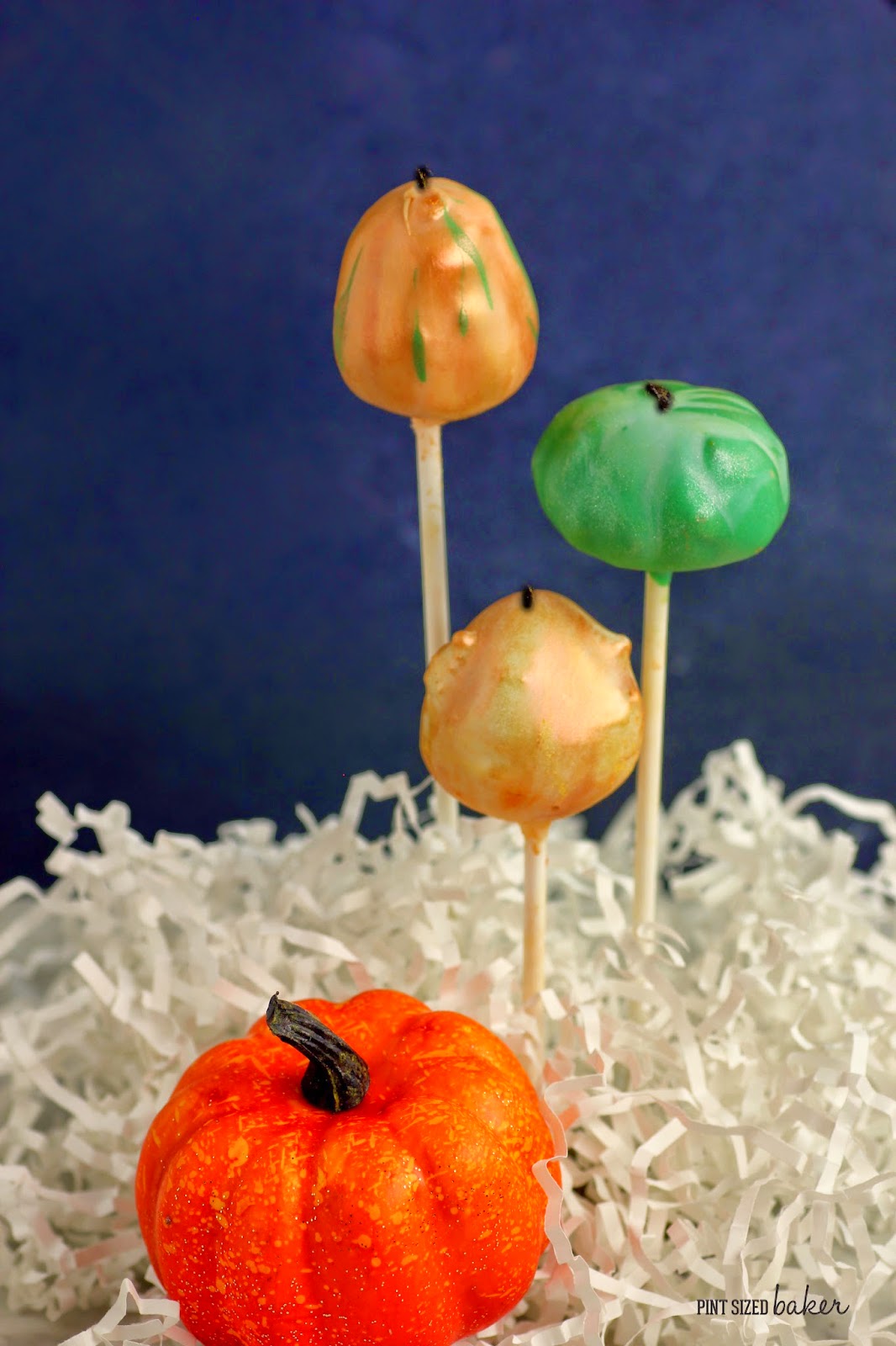 Fall Gourd Cake Pops 2 1%2Bps%2BFall%2BGourds%2BCake%2BPops%2B(19)