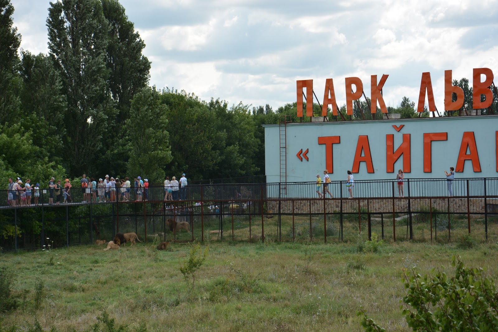 Гостиница парк львов тайган