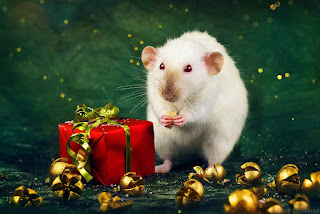 Entzückende Grußkarte frohes neues Jahr Maus und Ratte 2024. Kostenlose, schöne Live-Weihnachtskarten im Jahr der Maus
