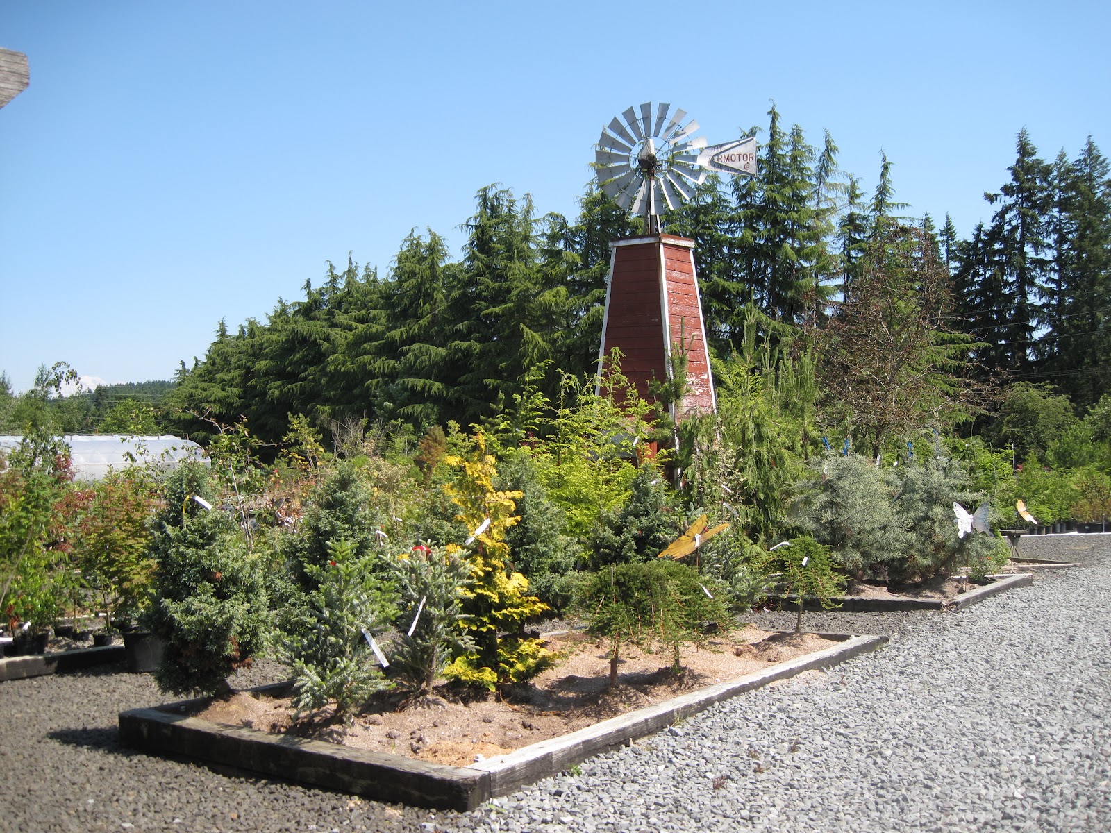 Bonney Lassie A Trip to The Barn Nursery in Olympia, WA