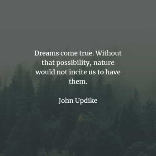 70 Quotes on dreams that'll motivate you with your goals