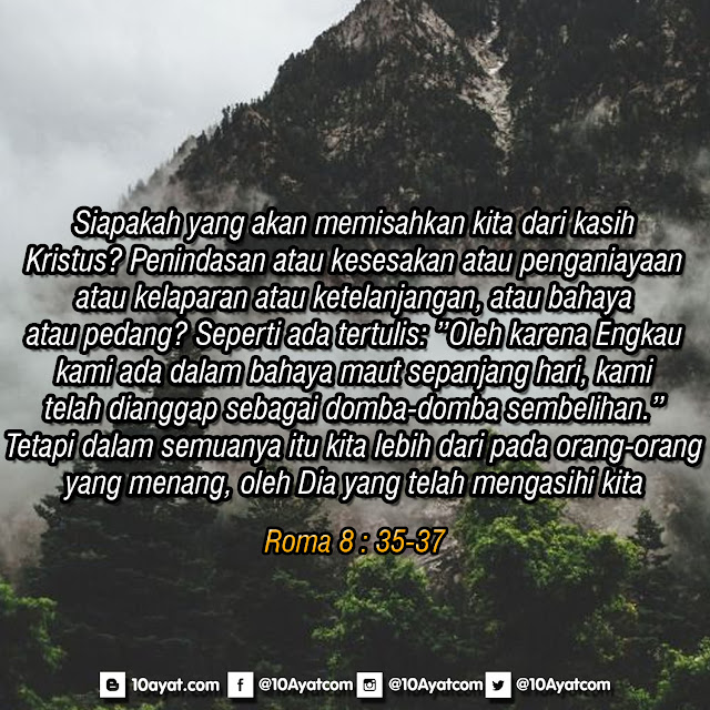 Roma%2B8%2B %2B35 37