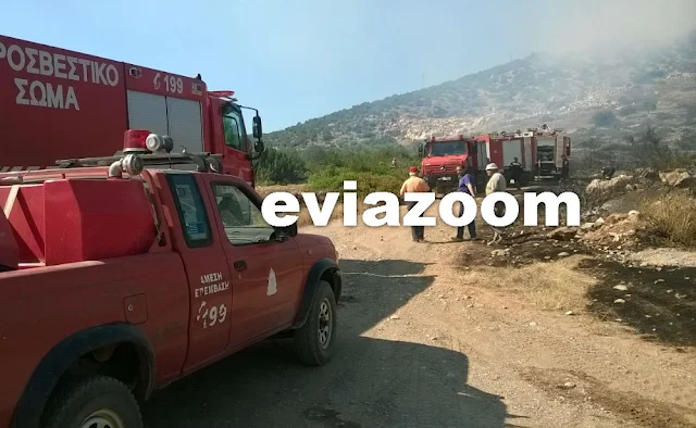 Φωτιά στη Χαλκίδα: Στάχτες και αποκαΐδια σε Δοκό και Αφράτι - Γιατί η Πυροσβεστική «βλέπει» εμπρησμό! (ΦΩΤΟ & ΒΙΝΤΕΟ)