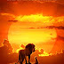 The Lion King (2019)