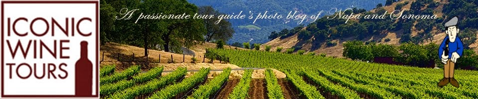 ICONIC Wine Tours - a photo blog