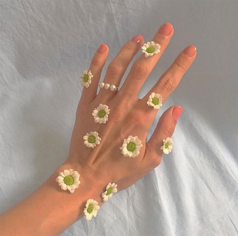 Compilation | Late-Spring Inspiration: Coming Up Daisies