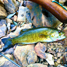 Trout Fishing Pittsburgh North Hills