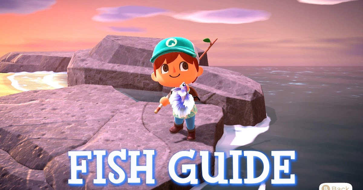 Animal Crossing: New Horizons - Fish Guide