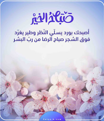 صور صباح الخير صور صباح الورد ، اجمل صور صباحية