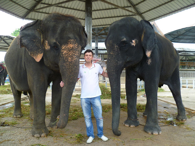 Слоны в Таиланде (Elephants in Thailand)