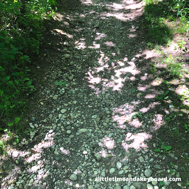 Rocky trails provide an extra challenge at Kettle Moraine State Forest