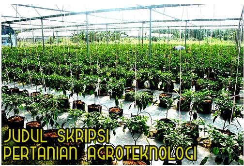 Judul Skripsi Pertanian Agroteknologi Terbaru Update Makalah Pedia