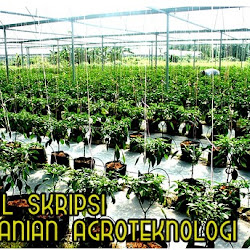 Skripsi Pertanian Agroteknologi Pdf Pejuang Skripsi