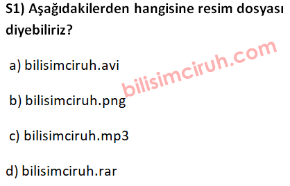 5 sinif gorsel isleme programlari testi