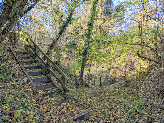 Turn left on Wareside footpath 11 climbing the wooden steps