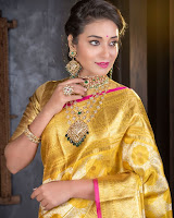 Bhanu Shree (Indian Actress) Biography, Wiki, Age, Height, Family, Career, Awards, and Many More