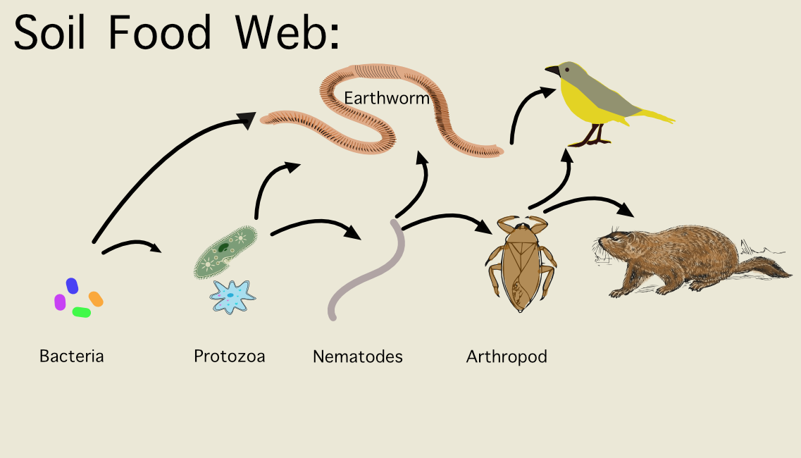 Do you know soil bacteria will save thousands of dollars an year for