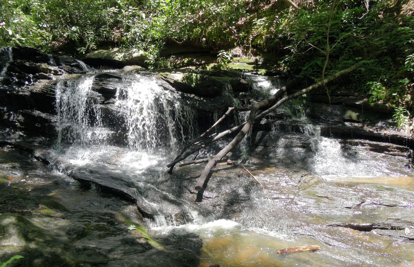 Femme au foyer Pleasant Ridge falls