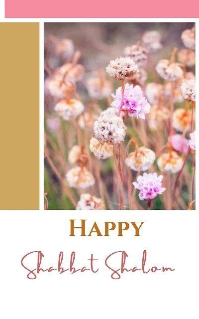 Free Modern Shabbat Shalom Greeting Card Wishes - 10 Cute Picture Images