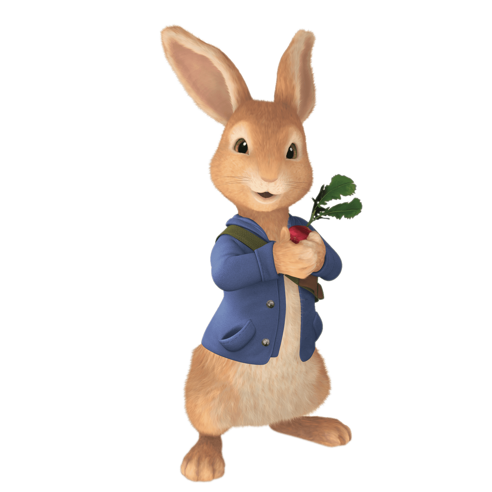 Printable Peter Rabbit Characters