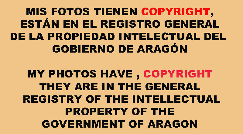 COPYRIGHT