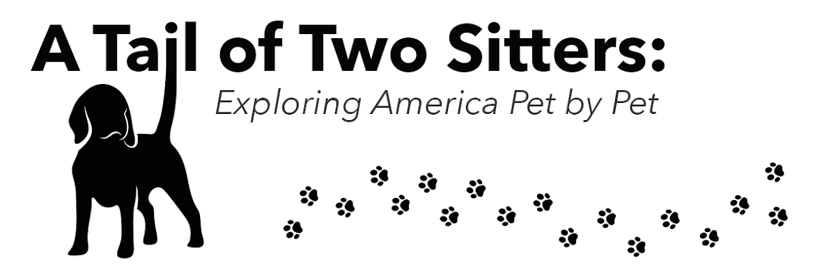 A Tail of Two Sitters