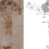 Ανακαλύφθηκε το αρχαιότερο απολίθωμα μανιταριού ηλικίας 115 εκατ. ετών