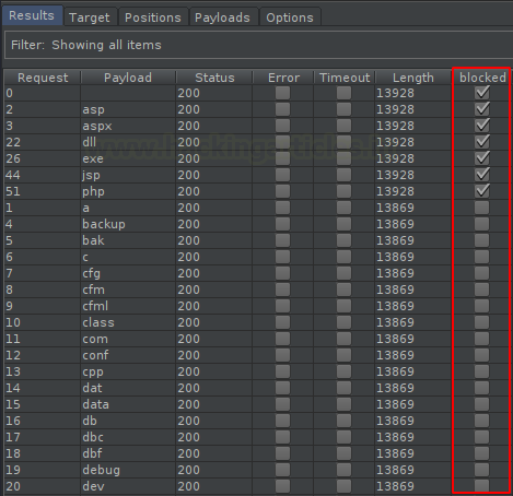 Burp Suite Fuzzing with Intruder