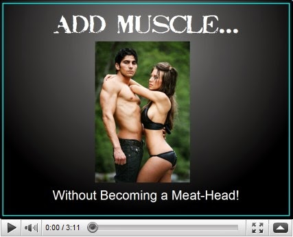 visual impact muscle building review,visual impact muscle building,visual impact muscle building download,visual impact muscle building pdf,visual impact muscle building workout 
