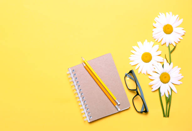 Istockphoto 1256586687