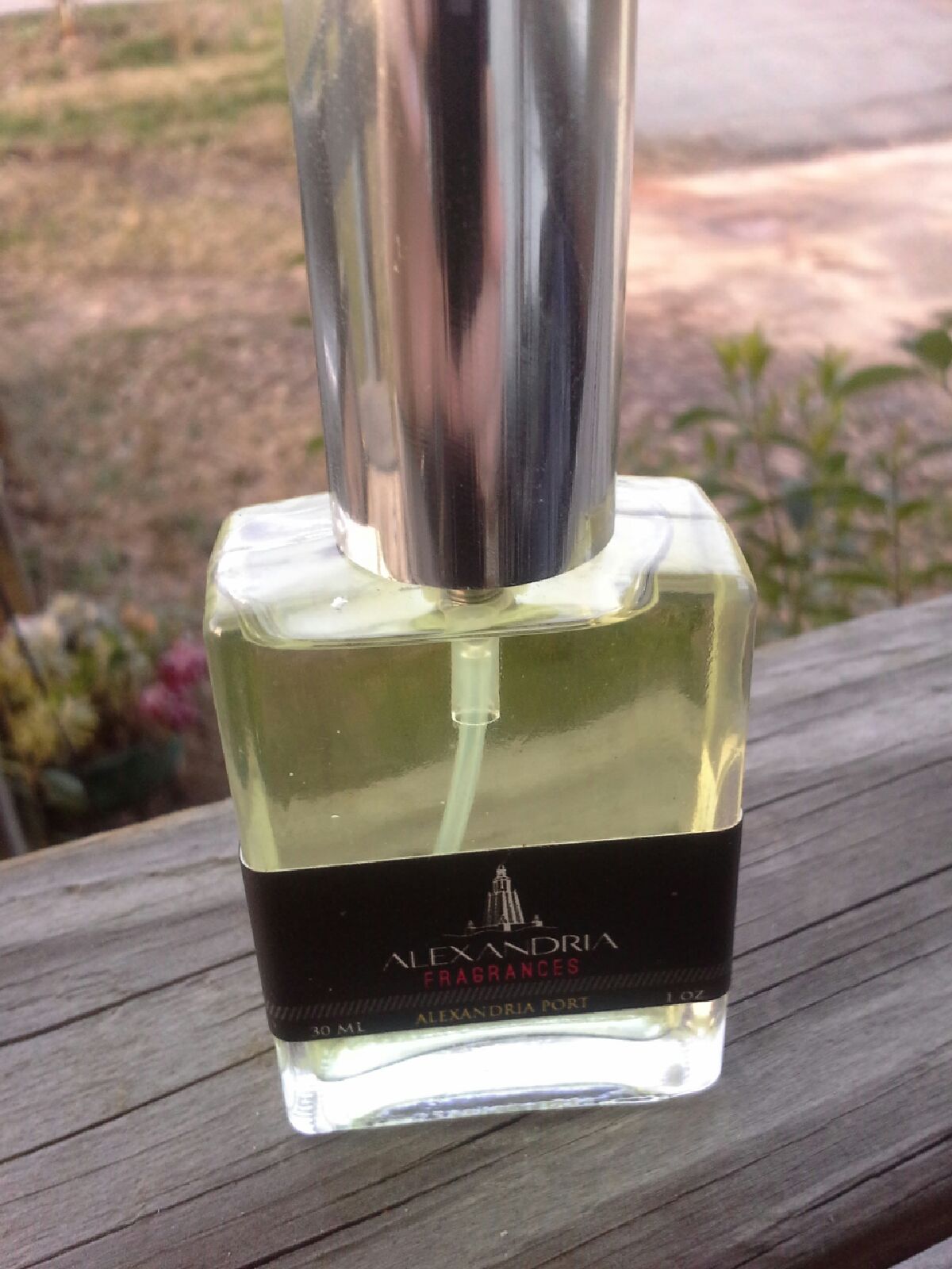 Musings of a Fraghead My Top 10 Alexandria Fragrances for Gentleman