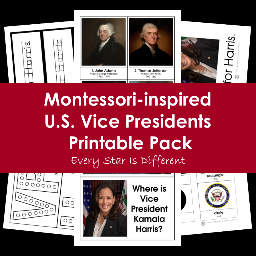 United States Vice Presidents Printable Pack