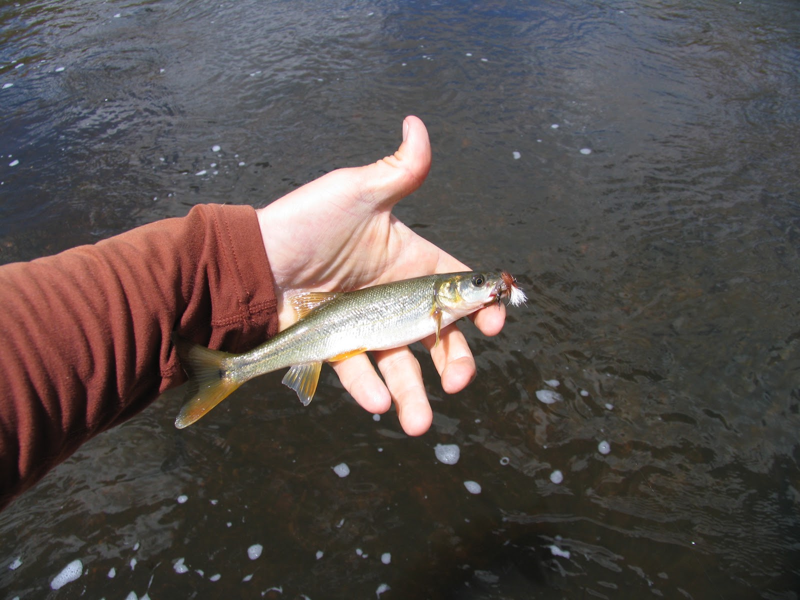 Wool, Blue Jeans, and Hunting Across the Country Fly Fishing the