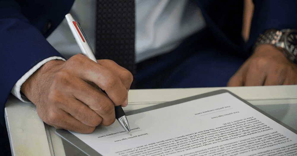 Overview on Companies act in Mauritius S & F GROUP