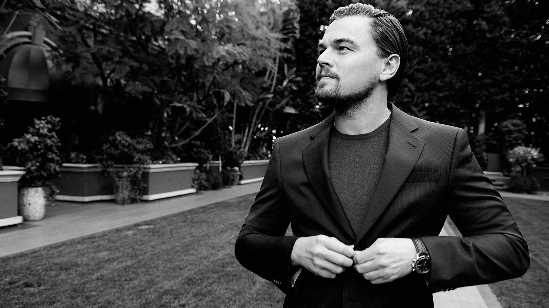 Leonardo DiCaprio Wallpapers