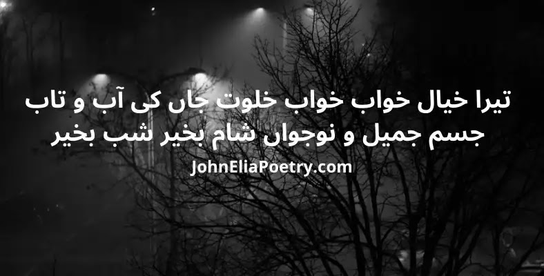 tera khayaal khawab khawab khalwat jaan ki aabb o taab John Elia tera khayaal khawab khawab khalwat jaan ki aabb o taab John Elia