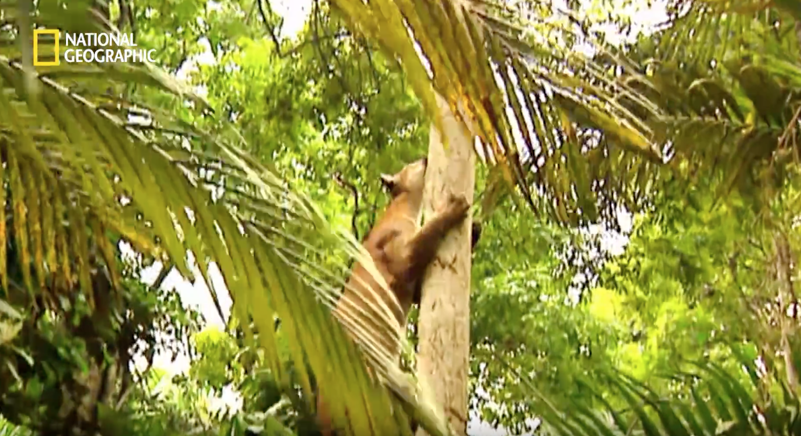 %25E1%2584%2589%25E1%2585%25B3%25E1%2584