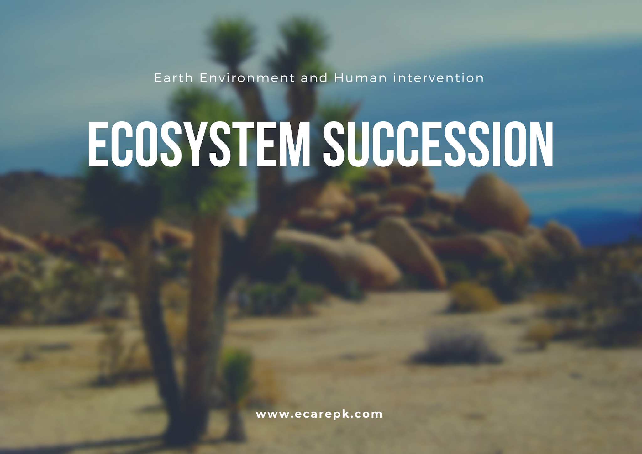 Ecosystem Succession Present on Earth Environment and Human Intervention