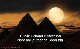 shayari on moon