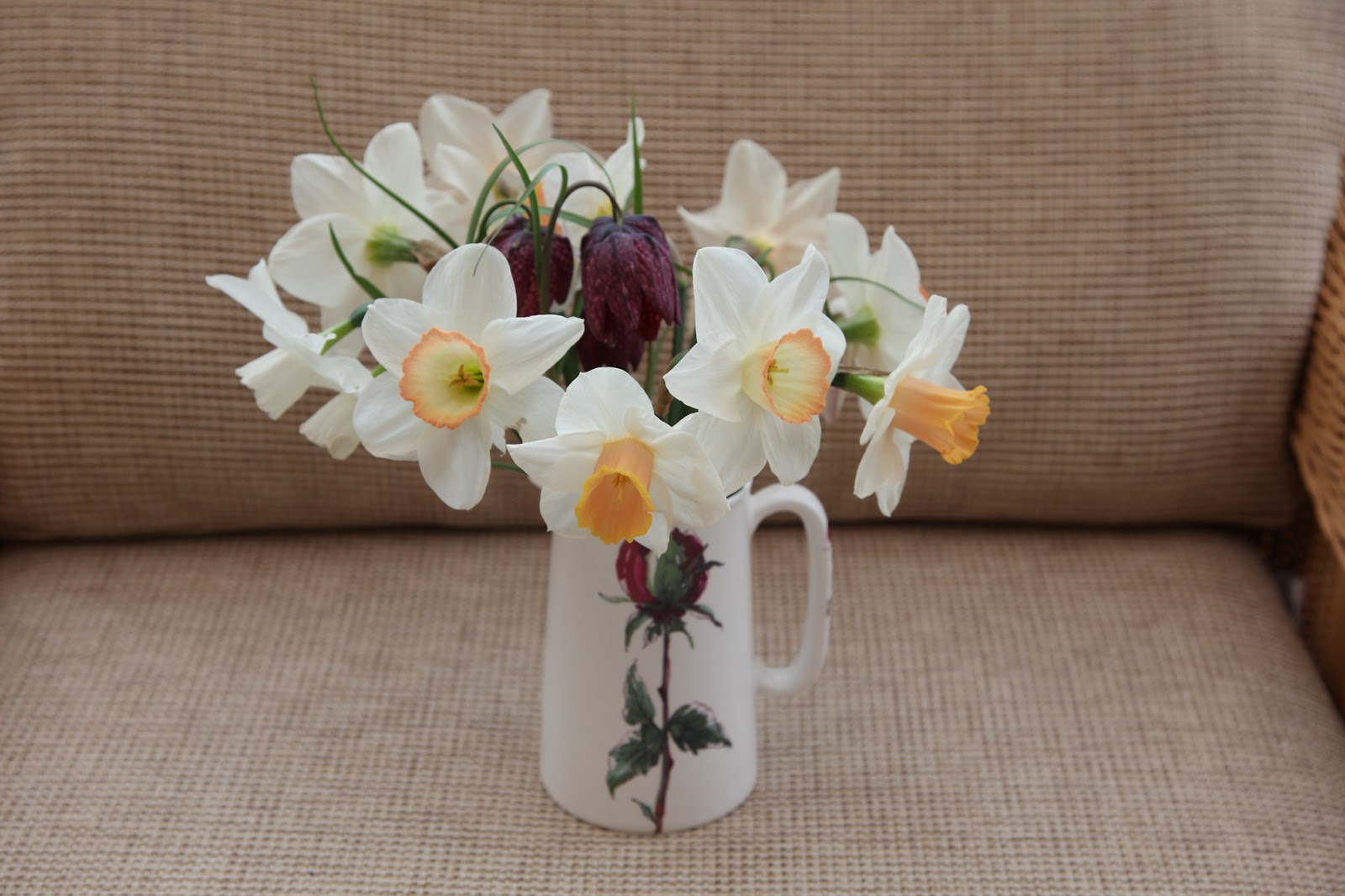 Flowers by Shamini Cheerfulness