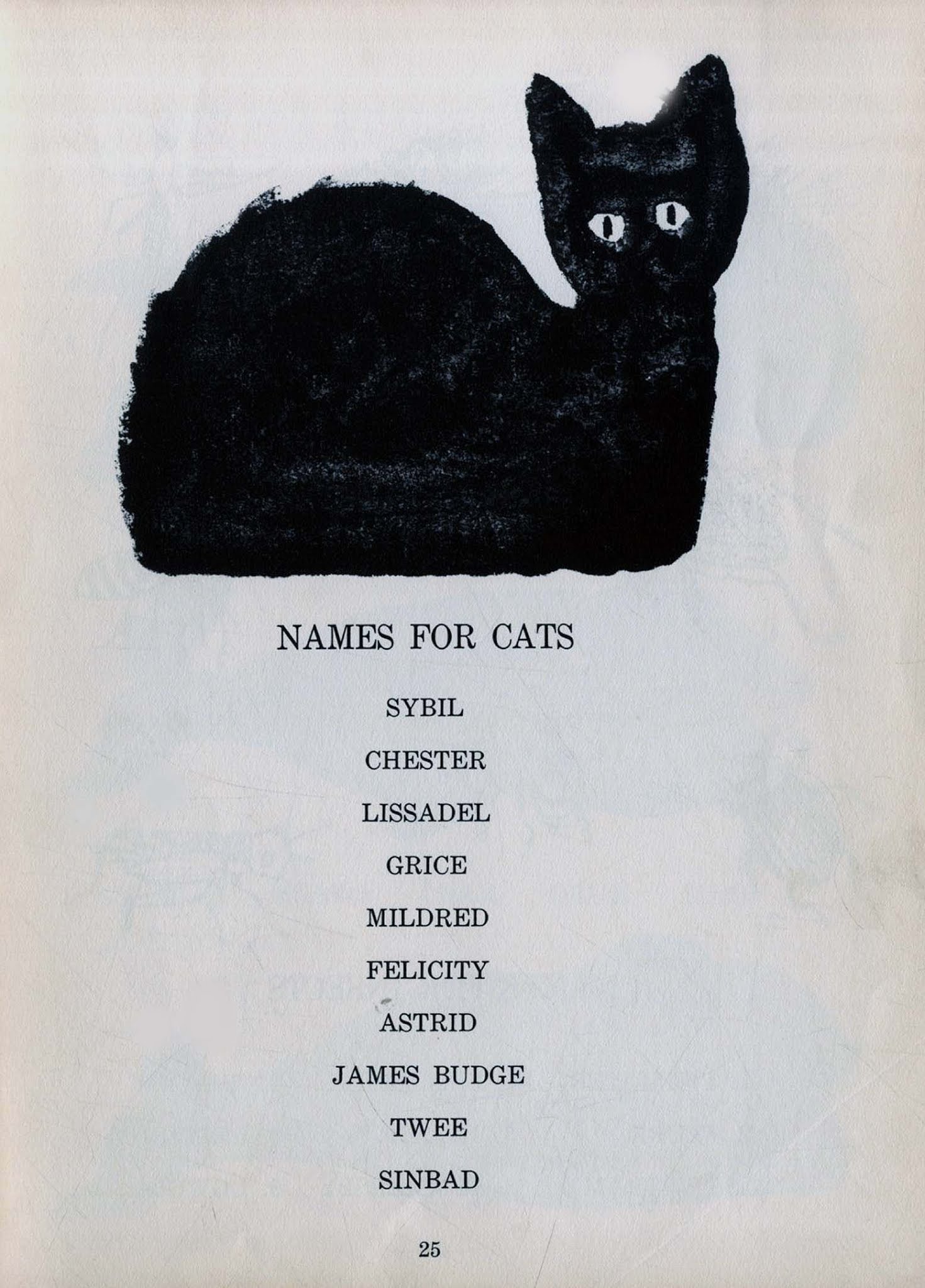 Клевое имя. Имена для кошек. Имена для котов мальчиков. Имена для котят мальчиков черного цвета. Имя для кота мальчика прикольные.
